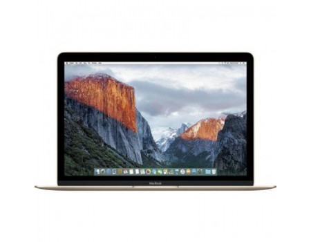 Ноутбук Apple MacBook A1534 (MNYK2UA/A)