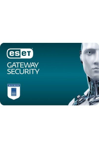 Антивірус ESET Gateway Security 10 ПК лицензия на 1year Business (EGS_10_1_B)